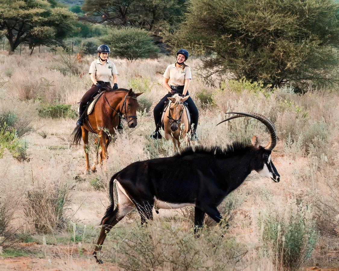 Gabus Safari Lodge Otavi エクステリア 写真