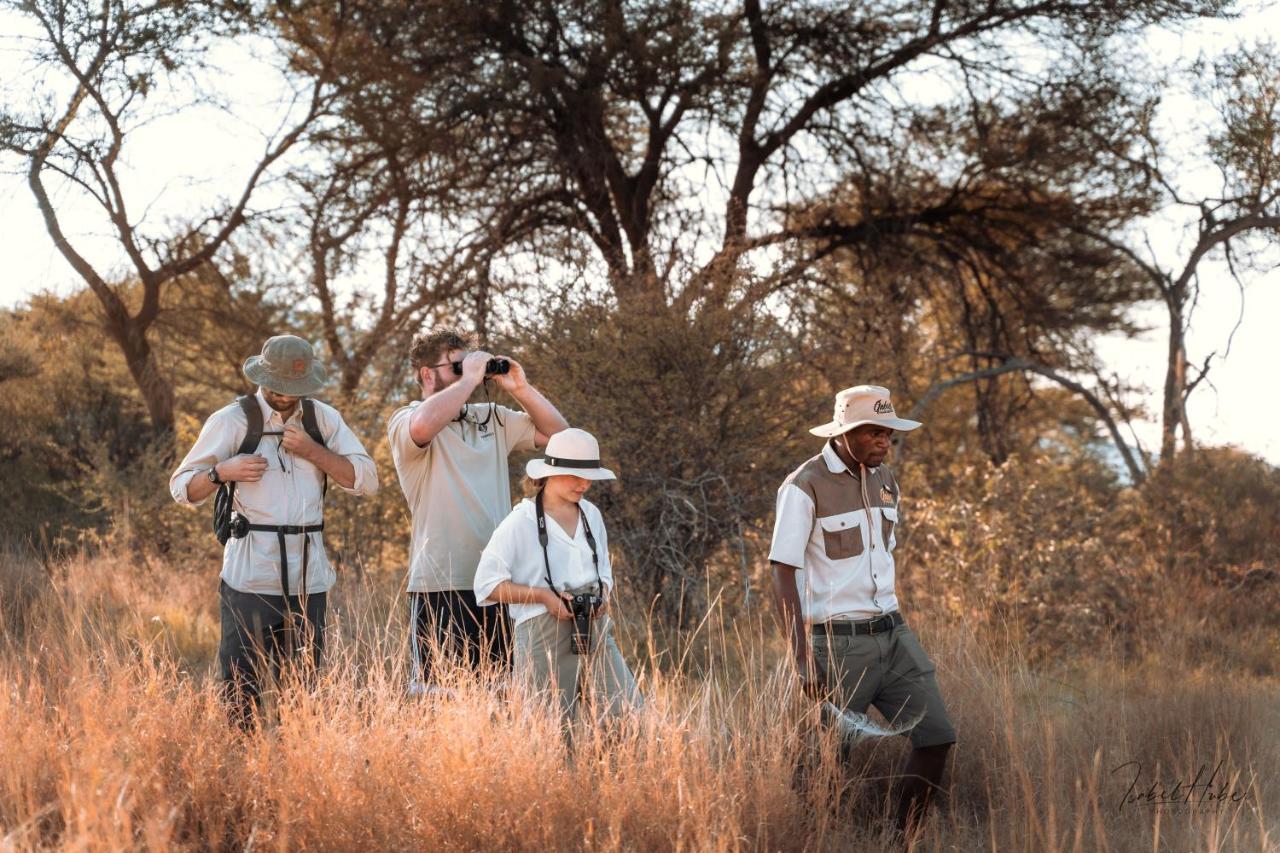 Gabus Safari Lodge Otavi エクステリア 写真