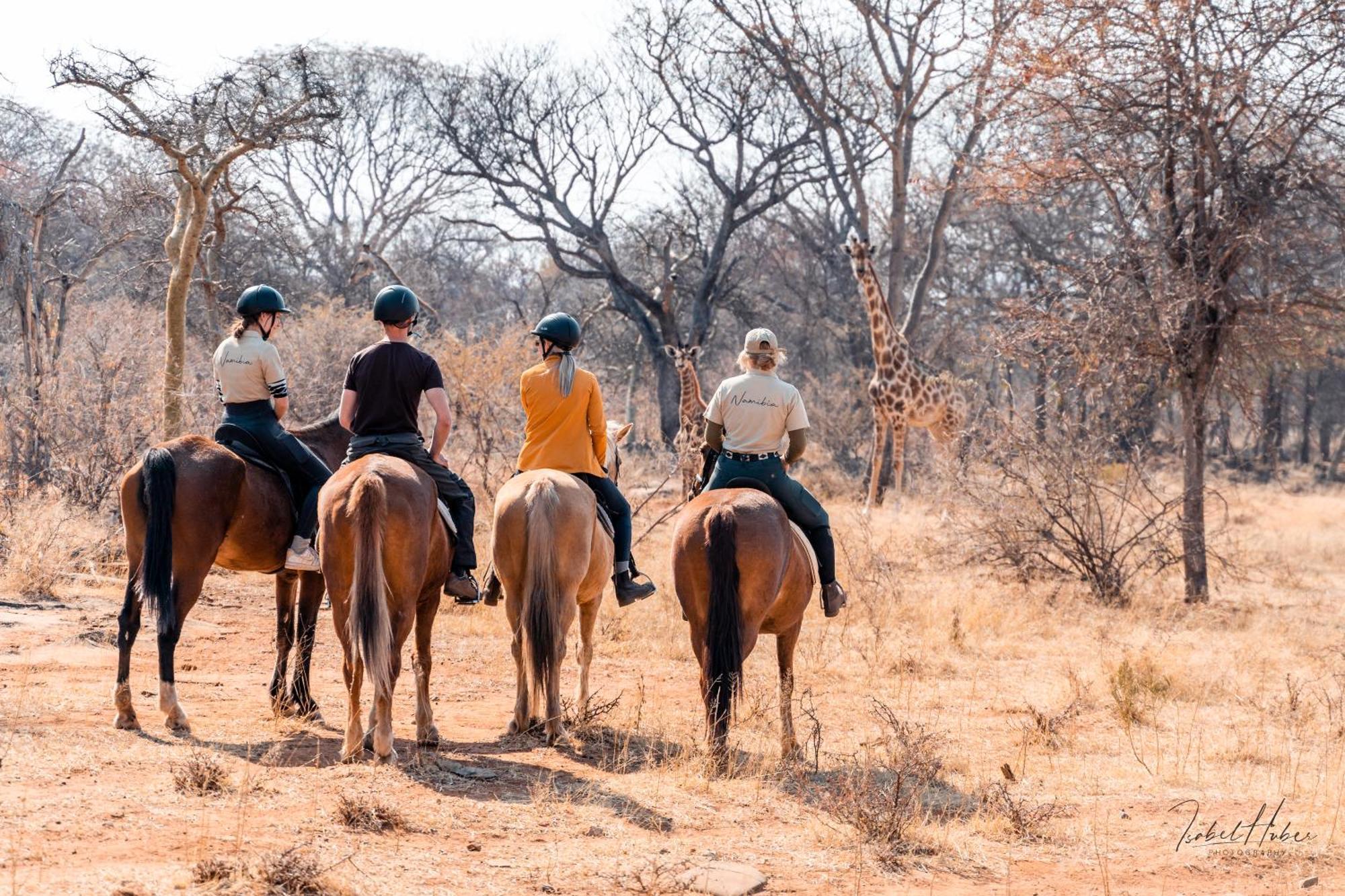 Gabus Safari Lodge Otavi エクステリア 写真